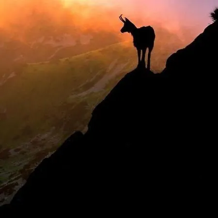 فندق La Grange Boutx