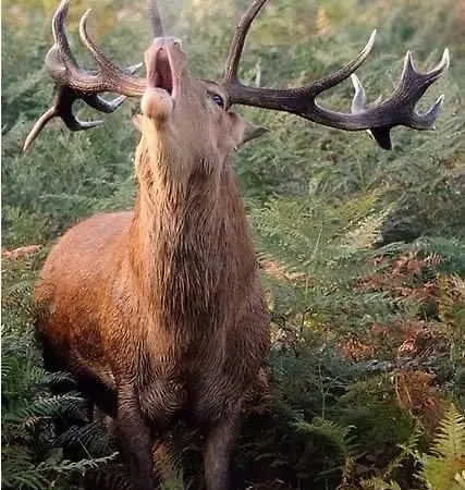 فندق La Grange Boutx