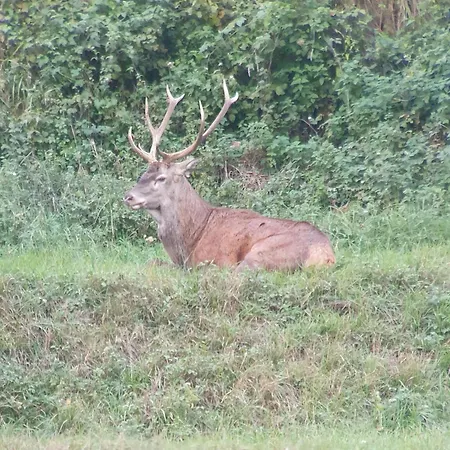 La Grange فندق Boutx